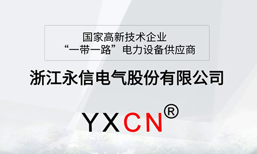 一帶一路|從展臺(tái)到行動(dòng)的承諾—2025永信參與非洲展會(huì)